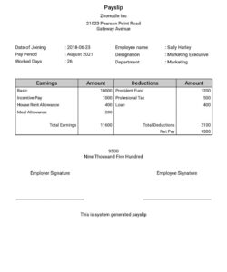 Blank Staff Salary Slip Template  Sample
