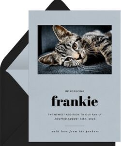 pet-grieving-thank-you-wording