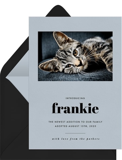 pet-grieving-thank-you-wording